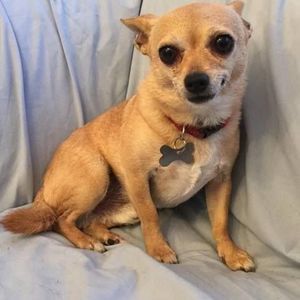 Meet your Posher, Naomi